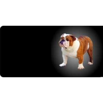English Bulldog Photo License Plate  